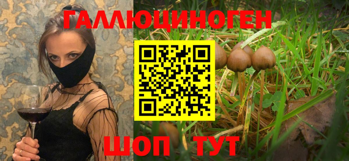Галлюциногенные грибы ЛСД Тамбов